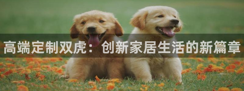 星欧娱乐开户