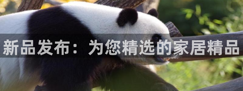 星欧娱乐公司电话号码