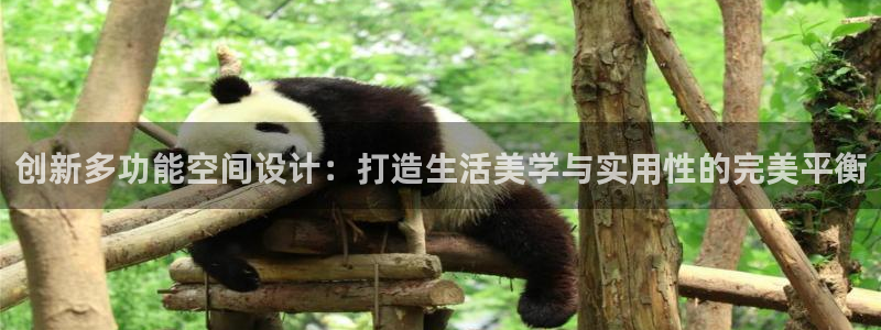 星欧娱乐官网客服电话号码