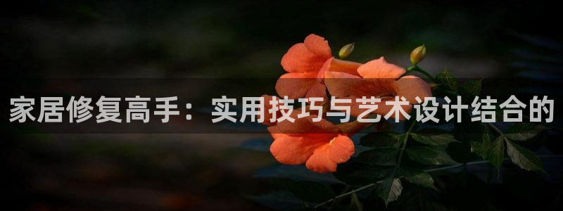 欧星娱乐的盘口