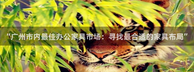 星欧娱乐下载官网