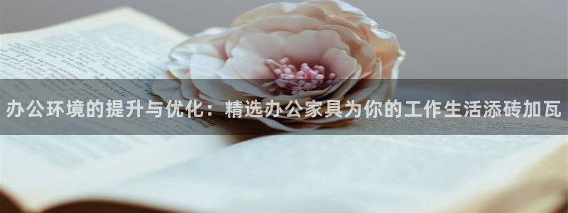 星欧娱乐的官方网站