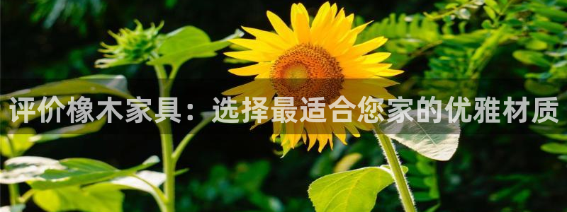 星欧娱乐招商