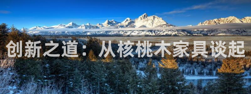 星欧娱乐的官方网站：创新之道：从核桃木家具谈起