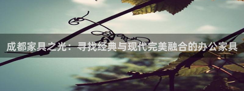 星欧娱乐平台