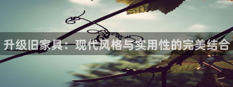 欧星娱乐pt：升级旧家具：现代风格与实用性的完美结合
