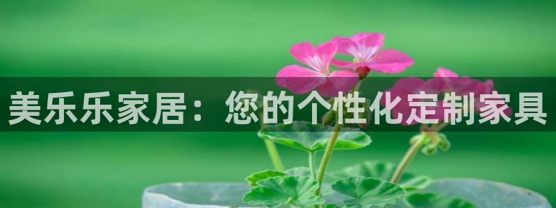 星欧娱乐代理