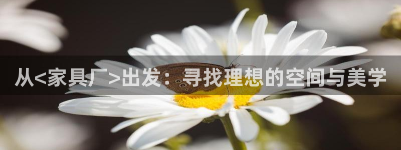 星辉娱乐进入欧联杯