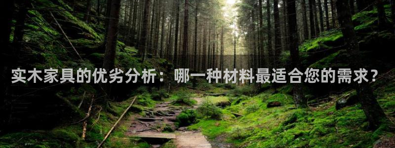 星欧娱乐负责人