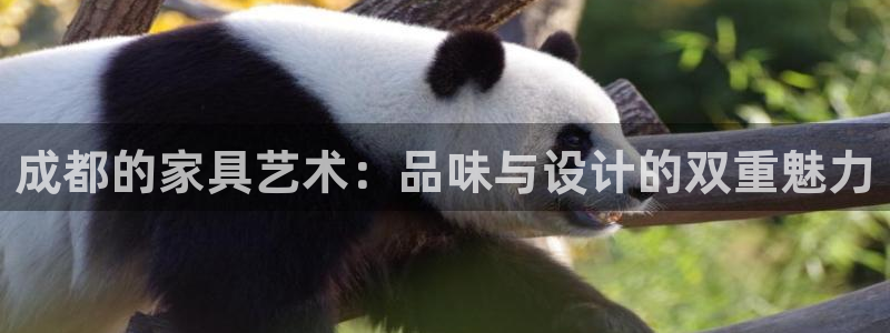 欧乐星城娱乐的介绍