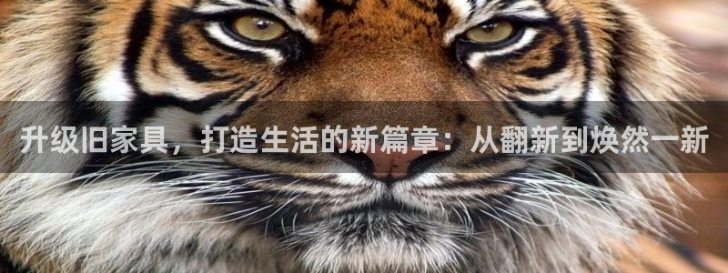 星欧娱乐平台是什么