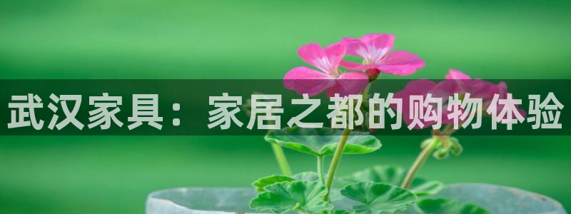 欧星娱乐棋牌怎么样