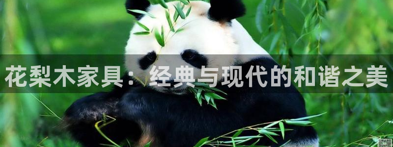 欧星娱乐彩票