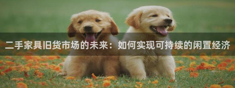 星欧娱乐负责人