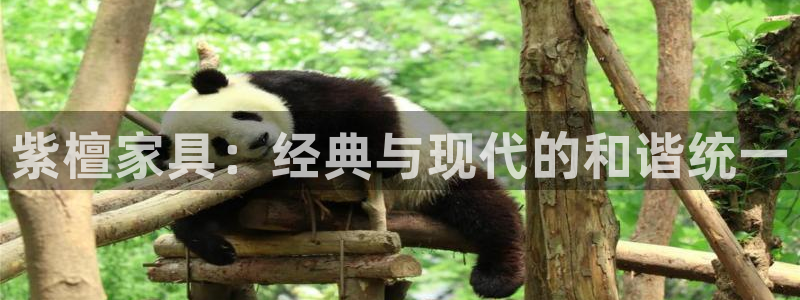 星欧娱乐代理