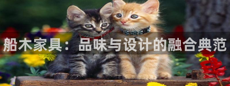 欧星娱乐下载