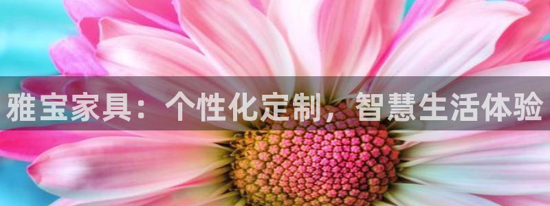 星欧娱乐负责人