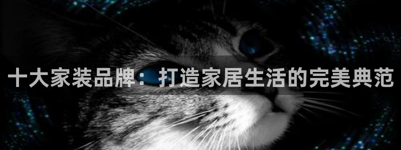 星欧娱乐平台主管
