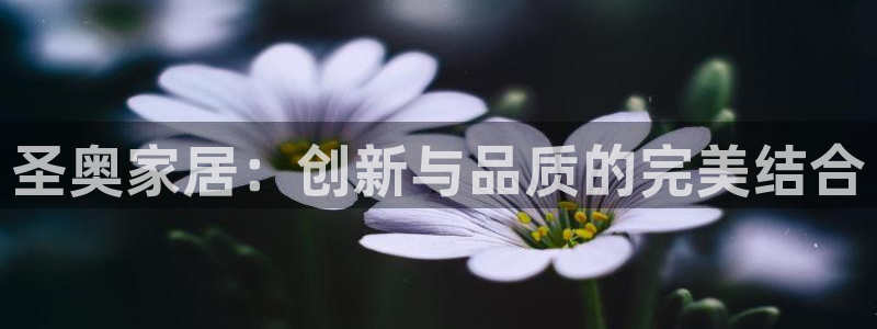 星欧娱乐是正规平台吗