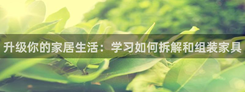 星欧娱乐游戏