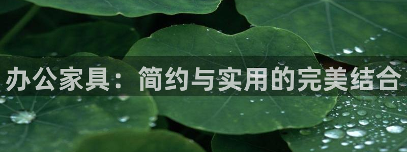 欧星国际娱乐