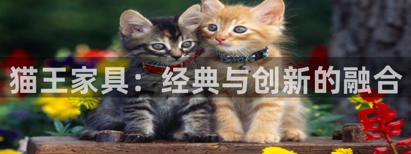 欧星娱乐棋牌怎么样
