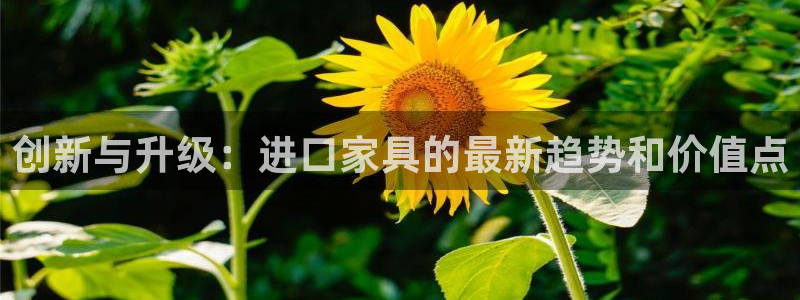 星欧娱乐平台靠谱吗
