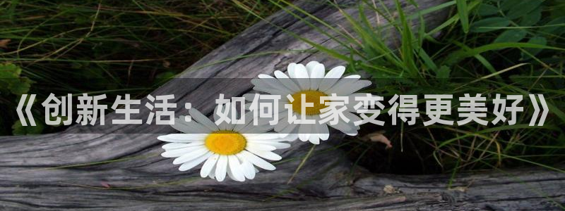 星欧娱乐官方网站客服：《创新生活：如何让家变得更美好》