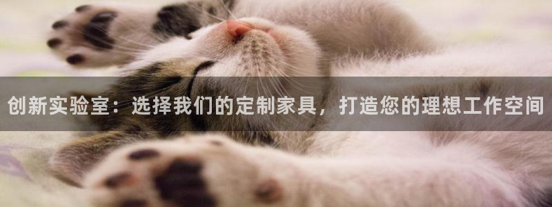 星娱乐online欧豪