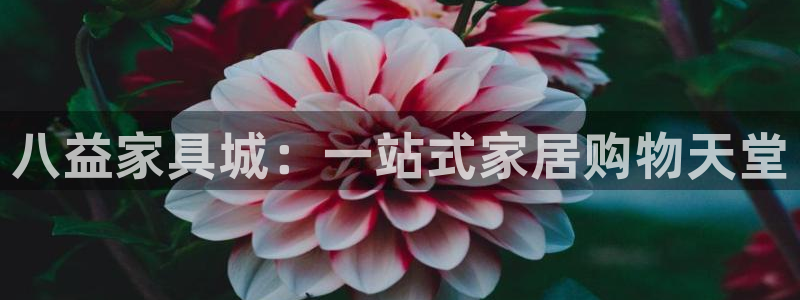 星欧娱乐官方客服