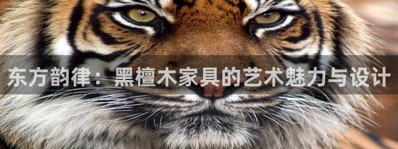 星欧娱乐官网在线登录入口：东方韵律：黑檀木家具的艺术魅力与设
